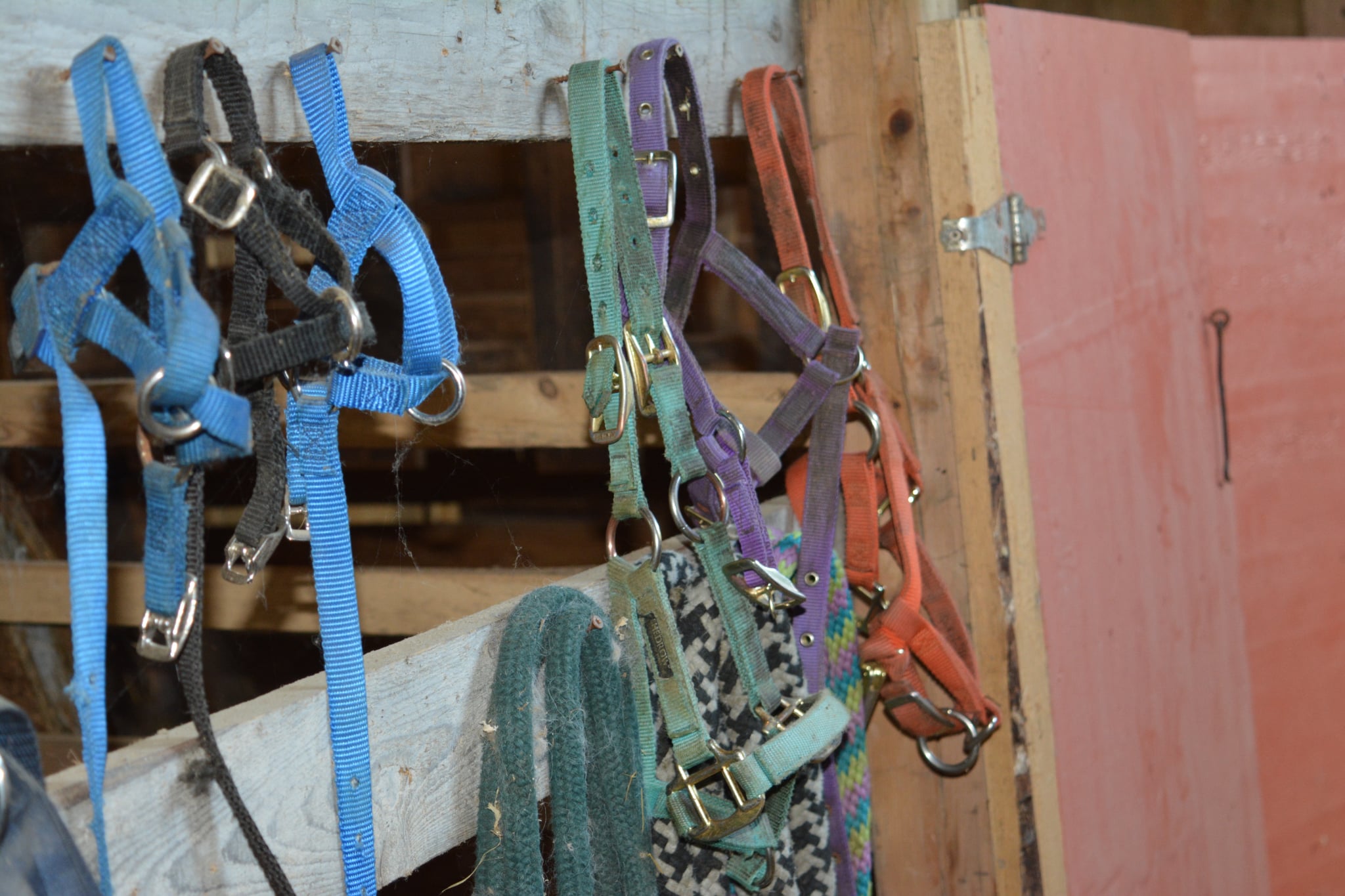 Bannière des activités immersives agrotouristiques